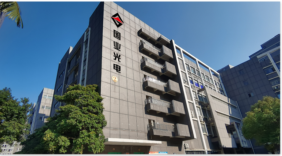 Shenzhen Guoye Optoelectronics 2024 ملخص نهاية العام